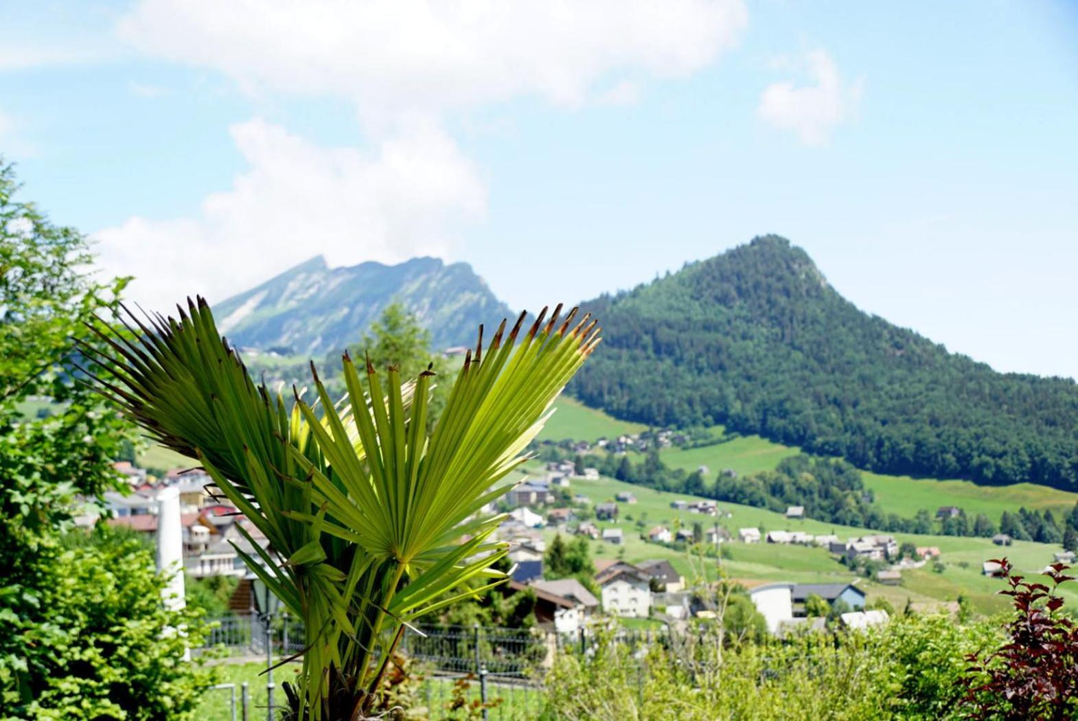 Appartement Bijou Am Bach